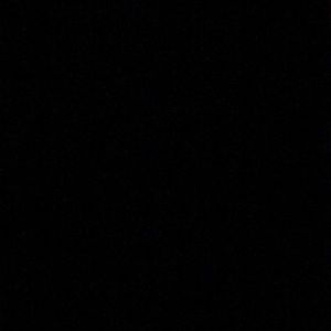 Meet your Posher, Elsie